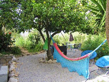 Ferienhaus in Monchique (Algarve) oder Ferienwohnung oder Ferienhaus