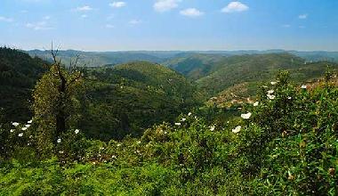 Ferienhaus in Monchique (Algarve) oder Ferienwohnung oder Ferienhaus