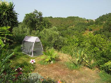 Ferienhaus in Monchique (Algarve) oder Ferienwohnung oder Ferienhaus
