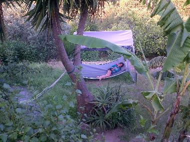 Ferienhaus in Monchique (Algarve) oder Ferienwohnung oder Ferienhaus