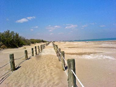 ....dieser war einst der Namensgeber -                                                          Cost