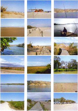  Impressionen der Landschaft im Ebro-Delta