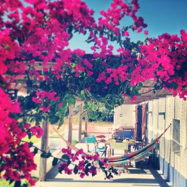 Ferienhaus in Melides (Alentejo Litoral) oder Ferienwohnung oder Ferienhaus