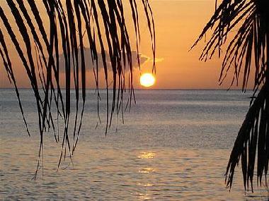 Ferienwohnung in saint fran�ois (Guadeloupe) oder Ferienwohnung oder Ferienhaus