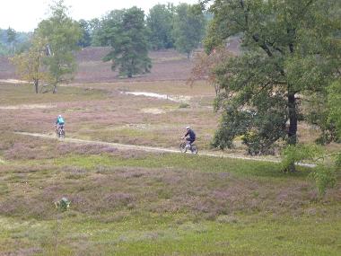 Im Regionalpark Rosengarten - Radfahrer in der Fischbeker Heide