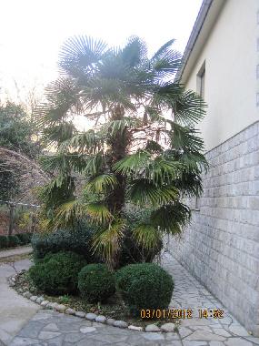 Villa in kotor (Montenegro) oder Ferienwohnung oder Ferienhaus