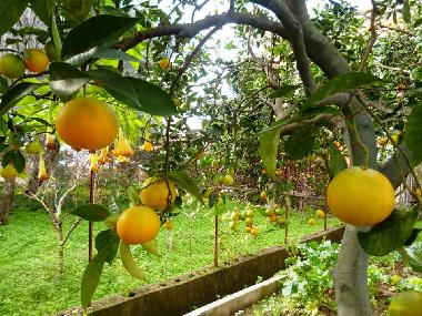 Ferienwohnung in Scauri (Latina) oder Ferienwohnung oder Ferienhaus
