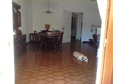 Villa in Formia (Latina) oder Ferienwohnung oder Ferienhaus
