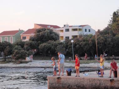 Ferienwohnung in Petrcane (Zadarska) oder Ferienwohnung oder Ferienhaus