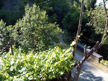 Ferienhaus in Borgo Val di Taro (Parma) oder Ferienwohnung oder Ferienhaus