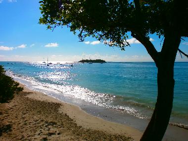 Ferienhaus in GOSIER (Guadeloupe) oder Ferienwohnung oder Ferienhaus