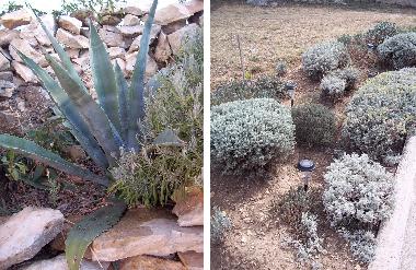 Ferienwohnung in Novigrad (Zadarska) oder Ferienwohnung oder Ferienhaus