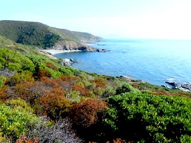 Ferienhaus in TORRE DEI CORSARI - Medio Campidano (Medio Campidano) oder Ferienwohnung oder Ferienhaus