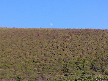 Ferienhaus in TORRE DEI CORSARI - Medio Campidano (Medio Campidano) oder Ferienwohnung oder Ferienhaus