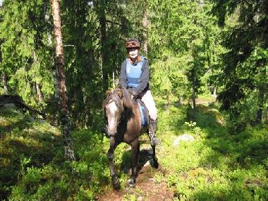 Ferienhaus in Stockholm (Stockholm) oder Ferienwohnung oder Ferienhaus