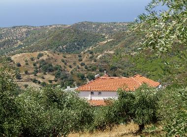 Ferienwohnung in Tholo, Drakos (Dytiki Ellada) oder Ferienwohnung oder Ferienhaus