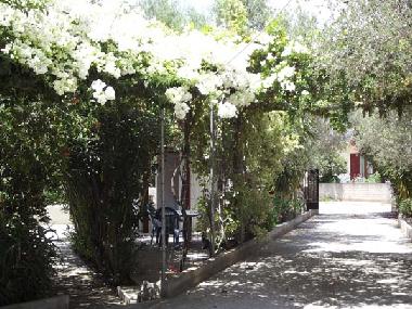 Ferienwohnung in Chania-Gavalochori (Chania) oder Ferienwohnung oder Ferienhaus