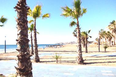 Strand---La Mata