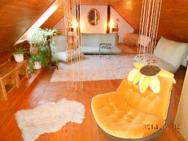 Villa in Agyagosszergeny (Gyor-Moson-Sopron) oder Ferienwohnung oder Ferienhaus