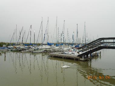 Villa in Agyagosszergeny (Gyor-Moson-Sopron) oder Ferienwohnung oder Ferienhaus