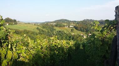 Ferienhaus in Zagorska Sela (Krapinsko-Zagorska) oder Ferienwohnung oder Ferienhaus