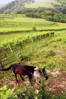 Ferienhaus in Zagorska Sela (Krapinsko-Zagorska) oder Ferienwohnung oder Ferienhaus