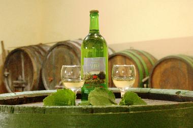 Ferienhaus in Zagorska Sela (Krapinsko-Zagorska) oder Ferienwohnung oder Ferienhaus