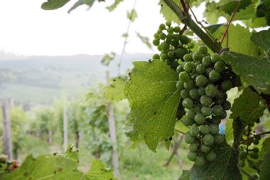 Ferienhaus in Zagorska Sela (Krapinsko-Zagorska) oder Ferienwohnung oder Ferienhaus