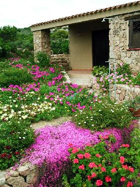 Villa in Trinit d'Agultu (Olbia-Tempio) oder Ferienwohnung oder Ferienhaus