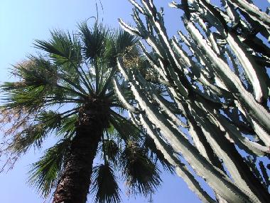 Ferienhaus in Tropea (Vibo Valentia) oder Ferienwohnung oder Ferienhaus