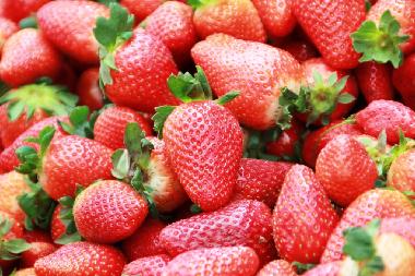 Ferienwohnung in Jerusalem (Yerushalayim (Jerusalem)) oder Ferienwohnung oder Ferienhaus