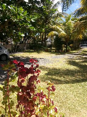 Ferienwohnung in Pereybere (Pereybere) oder Ferienwohnung oder Ferienhaus