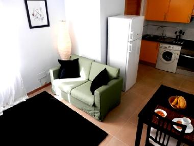 Ferienwohnung in Madrid (Madrid) oder Ferienwohnung oder Ferienhaus