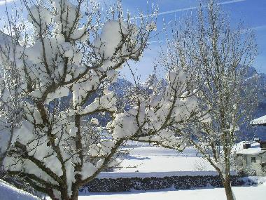 Ausblick von der Terrasse