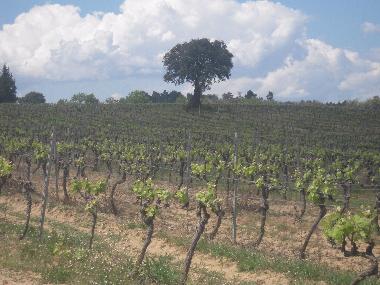 Pension in BADENS (Aude) oder Ferienwohnung oder Ferienhaus