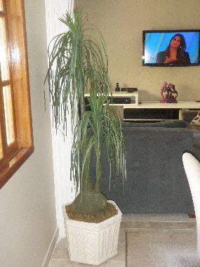 Ferienhaus in praia da bandeira (Rio de Janeiro) oder Ferienwohnung oder Ferienhaus