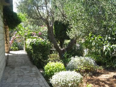 Ferienhaus in Orebić (Dubrovacko-Neretvanska) oder Ferienwohnung oder Ferienhaus