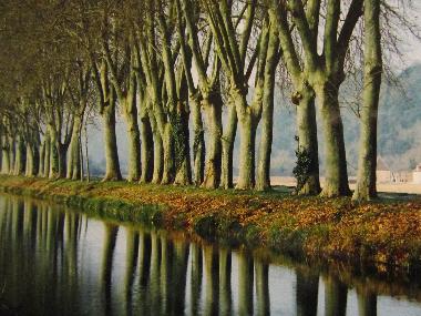 Seitenkanal der Dordogne bei Limeuil