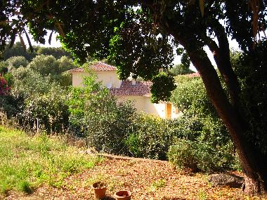Ferienwohnung in LUMIO (Haute-Corse) oder Ferienwohnung oder Ferienhaus