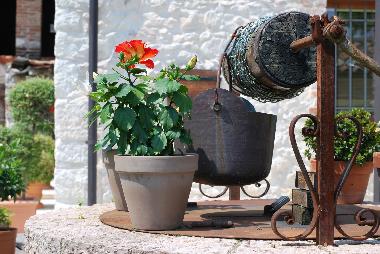 Ferienhaus in Romano d