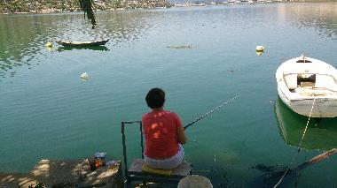 Ferienwohnung in Rogotin (Dubrovacko-Neretvanska) oder Ferienwohnung oder Ferienhaus