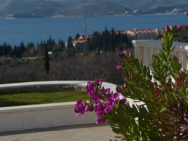 Ferienwohnung in CAVTAT (Dubrovacko-Neretvanska) oder Ferienwohnung oder Ferienhaus