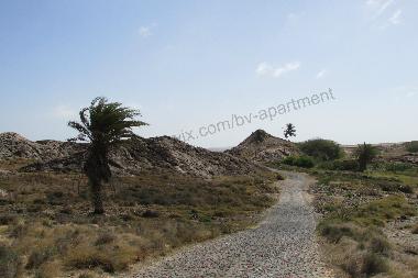 Ferienwohnung in Sal Rei (Boa Vista) oder Ferienwohnung oder Ferienhaus