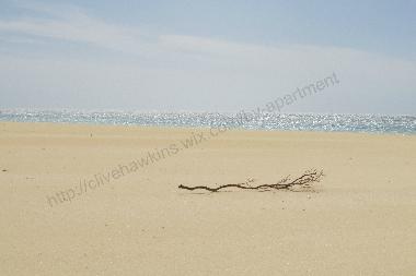 Ferienwohnung in Sal Rei (Boa Vista) oder Ferienwohnung oder Ferienhaus