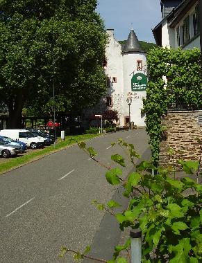 Blick von der Moselterrasse