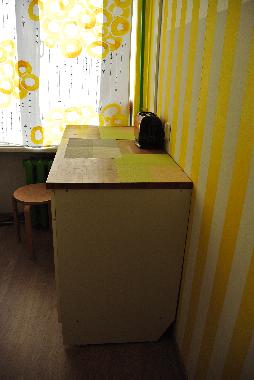 Ferienwohnung in Saint Petersburg (Sankt-Peterburg) oder Ferienwohnung oder Ferienhaus