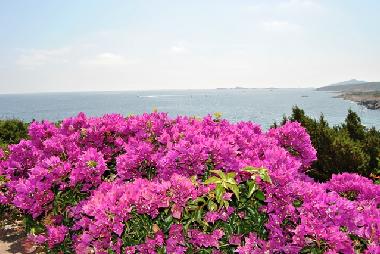 Blick von der kleinen Dachterrasse