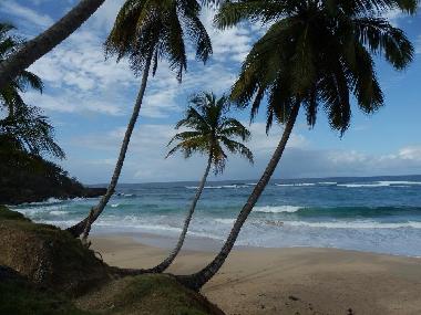 Villa in Rio san Juan  (Sanchez Ramirez) oder Ferienwohnung oder Ferienhaus