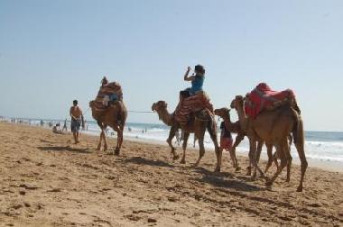 Ferienwohnung in tanger (Tanger) oder Ferienwohnung oder Ferienhaus