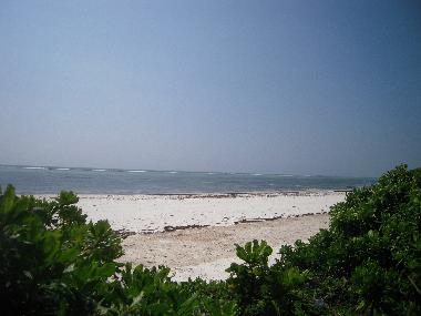 Villa in Matemwe (Zanzibar North) oder Ferienwohnung oder Ferienhaus